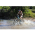 Team 62 / Raid l'Arbre Vert Cambodge - VTT
