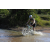 Team 47 / Raid l'Arbre Vert Cambodge - VTT