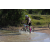 Team 47 / Raid l'Arbre Vert Cambodge - VTT