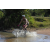 Team 38 / Raid l'Arbre Vert Cambodge - VTT
