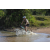 Team 38 / Raid l'Arbre Vert Cambodge - VTT