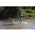 Team 23 / Raid l'Arbre Vert Cambodge - VTT