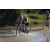 Team 41 / Raid l'Arbre Vert Cambodge - VTT