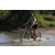 Team 48 / Raid l'Arbre Vert Cambodge - VTT