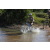 Team 16 / Raid l'Arbre Vert Cambodge - VTT