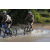 Team 16 / Raid l'Arbre Vert Cambodge - VTT