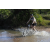Team 16 / Raid l'Arbre Vert Cambodge - VTT