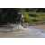 Team 80 / Raid l'Arbre Vert Cambodge - VTT