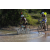 Team 54 / Raid l'Arbre Vert Cambodge - VTT