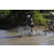 Team 09 / Raid l'Arbre Vert Cambodge - VTT