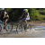 Team 54 / Raid l'Arbre Vert Cambodge - VTT