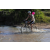 Team 54 / Raid l'Arbre Vert Cambodge - VTT