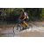 Team 81 / Raid l'Arbre Vert Cambodge - VTT