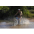 Team 81 / Raid l'Arbre Vert Cambodge - VTT