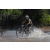 Team 53 / Raid l'Arbre Vert Cambodge - VTT