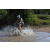 Team 81 / Raid l'Arbre Vert Cambodge - VTT