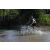 Team 85 / Raid l'Arbre Vert Cambodge - VTT