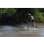 Team 85 / Raid l'Arbre Vert Cambodge - VTT