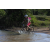 Team 79 / Raid l'Arbre Vert Cambodge - VTT
