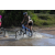 Team 10 / Raid l'Arbre Vert Cambodge - VTT