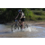 Team 10 / Raid l'Arbre Vert Cambodge - VTT