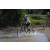 Team 10 / Raid l'Arbre Vert Cambodge - VTT