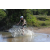 Team 26 / Raid l'Arbre Vert Cambodge - VTT