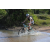 Team 07 / Raid l'Arbre Vert Cambodge - VTT