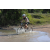 Team 26 / Raid l'Arbre Vert Cambodge - VTT