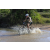 Team 26 / Raid l'Arbre Vert Cambodge - VTT