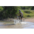 Team 07 / Raid l'Arbre Vert Cambodge - VTT