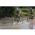 Team 39 / Raid l'Arbre Vert Cambodge - VTT