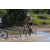 Team 39 / Raid l'Arbre Vert Cambodge - VTT