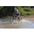 Team 12 / Raid l'Arbre Vert Cambodge - VTT