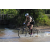 Team 43 / Raid l'Arbre Vert Cambodge - VTT