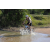 Team 44 / Raid l'Arbre Vert Cambodge - VTT