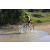 Team 44 / Raid l'Arbre Vert Cambodge - VTT
