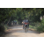 Raid l'Arbre Vert Cambodge - VTT