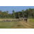 Raid l'Arbre Vert Cambodge - VTT