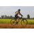 Team 12 / Raid l'Arbre Vert Cambodge - VTT
