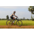 Team 22 / Raid l'Arbre Vert Cambodge - VTT