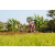 Team 79 / Raid l'Arbre Vert Cambodge - VTT