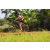 Team 52 / Raid l'Arbre Vert Cambodge - VTT