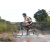 Team 28 / Raid l'Arbre Vert Cambodge - VTT