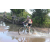 Team 46 / Raid l'Arbre Vert Cambodge - VTT