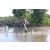 Team 11 / Raid l'Arbre Vert Cambodge - VTT