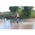 Team 11 / Raid l'Arbre Vert Cambodge - VTT