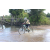 Team 03 / Raid l'Arbre Vert Cambodge - VTT