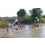 Team 58 / Raid l'Arbre Vert Cambodge - VTT