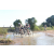 Team 31 / Raid l'Arbre Vert Cambodge - VTT